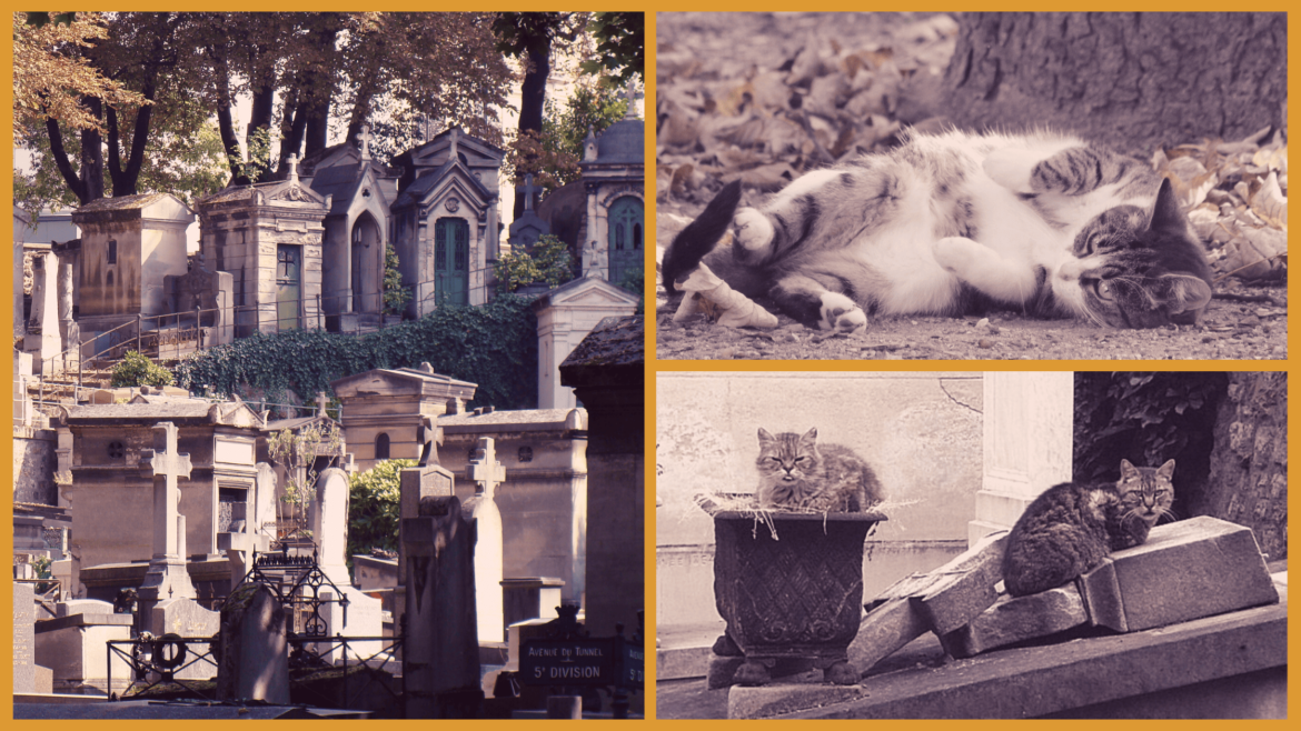 Cimetière de Montmartre