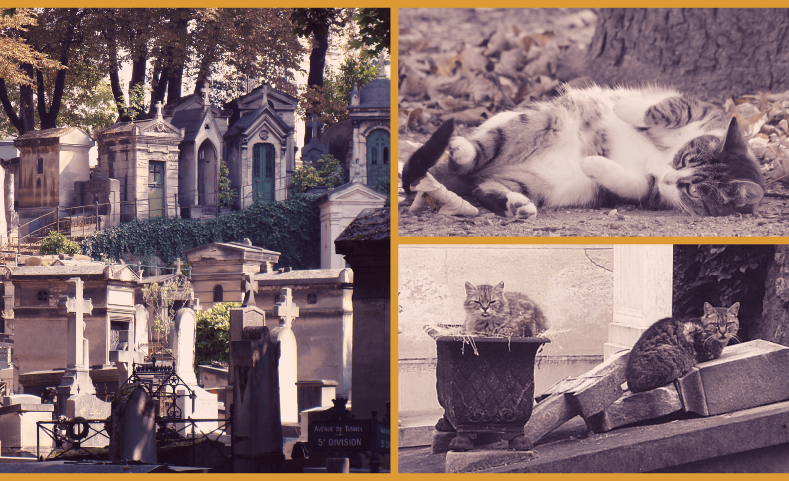 Cimetière de Montmartre