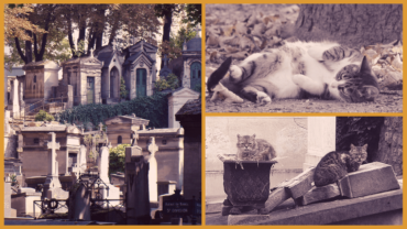Cimetière de Montmartre
