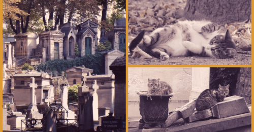 Cimetière de Montmartre